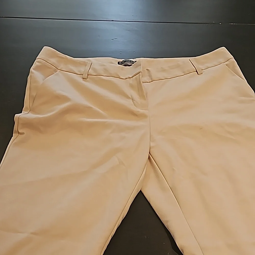 Express pants - Picture 2 of 6